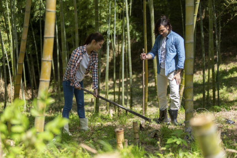 Bamboo Floor Installation